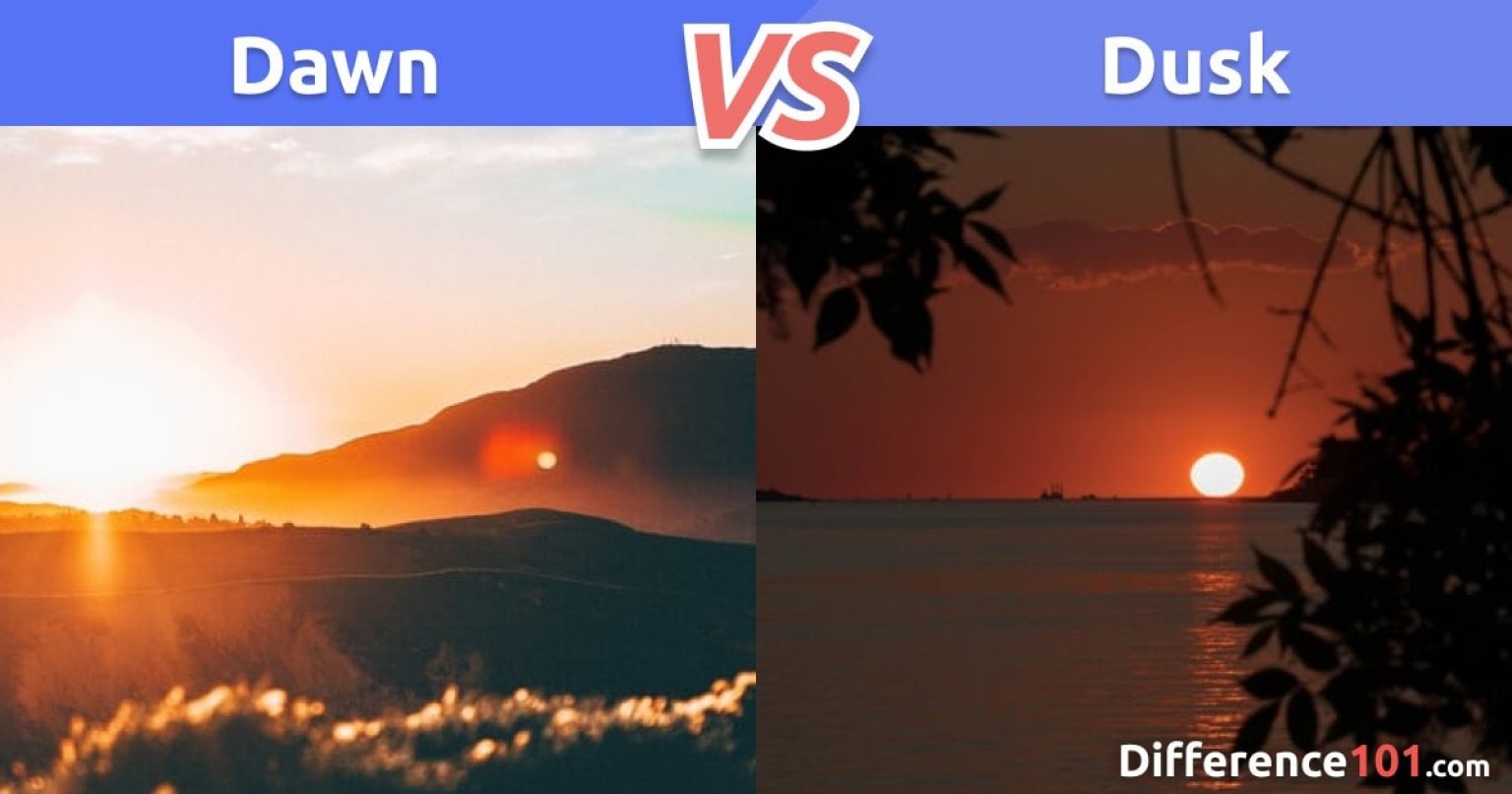 download dusk to dawn meaning