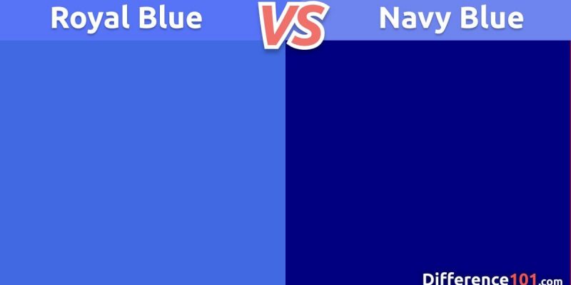 postman blue vs navy blue comparison